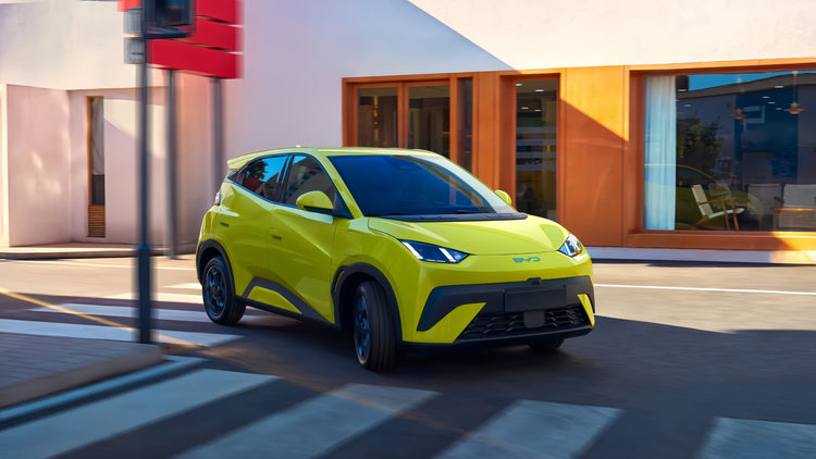 BYD DOLPHIN SURF/ MINI Accessories