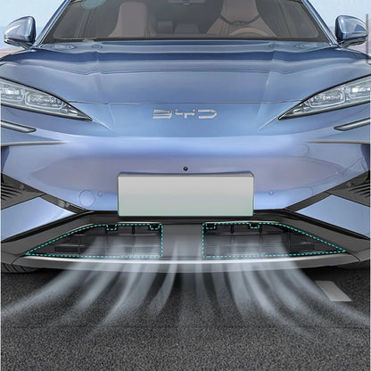 BYD Sealion 7 Rejilla Red de Protección