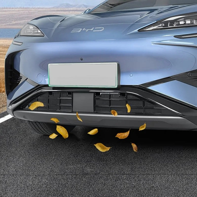 BYD Sealion 7 Rejilla Red de Protección