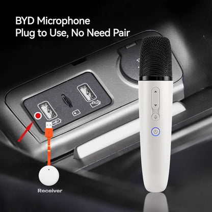 BYD Wireless Microphone