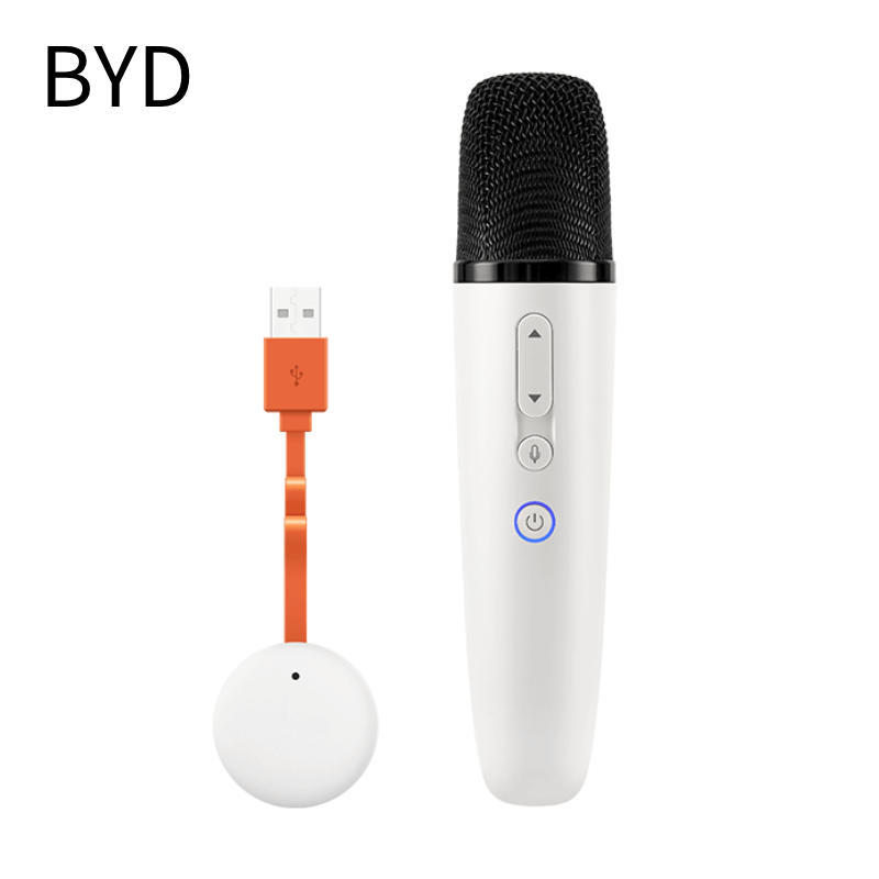 BYD Wireless Microphone