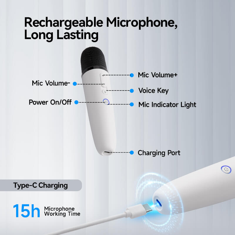 BYD Wireless Microphone