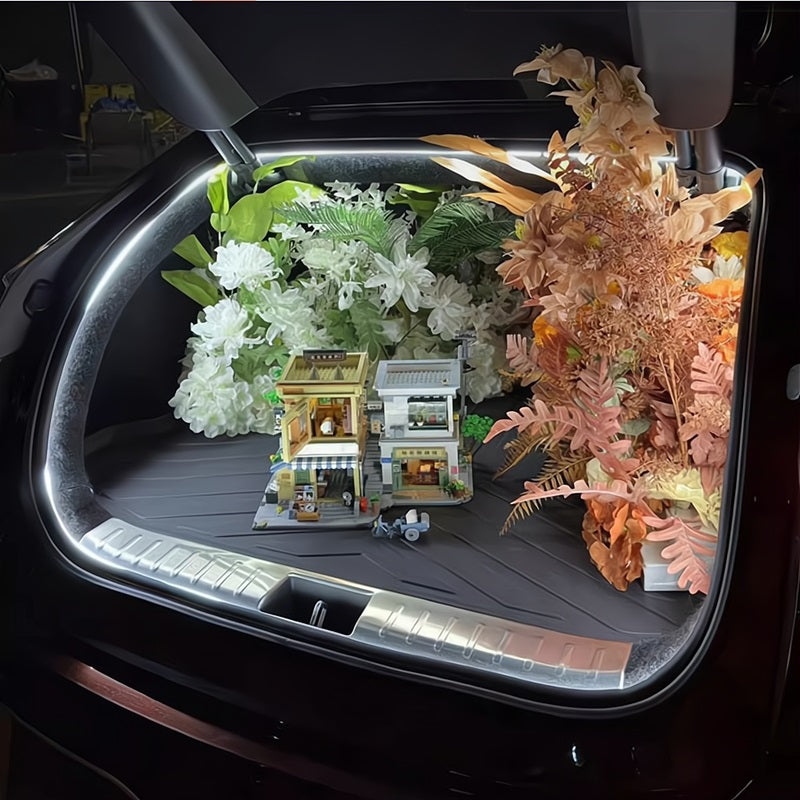 Iluminación ambiental para luces de automóvil BYD