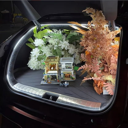 Iluminación ambiental para luces de automóvil BYD