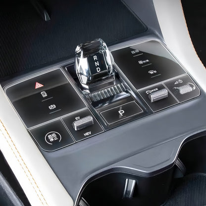 Control Central PPF para BYD