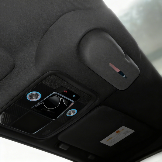 Estuche para gafas para BYD Sealion 7