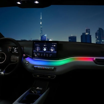 Indoor Atmosphere Lamp for BYD