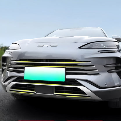 Malla a prueba de insectos para BYD Sealion 6/Seal U