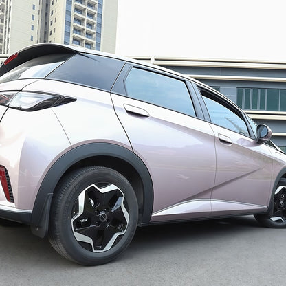 Paraspruzzi per BYD Dolphin