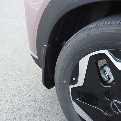 Paraspruzzi per BYD Dolphin