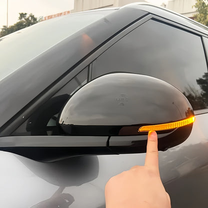Side Mirror Cover for BYD Atto 2