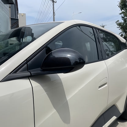 Side Mirror Cover for BYD Dolphin Surf/ Mini